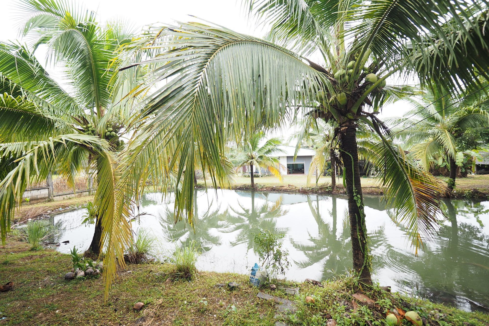 Oyo 75515 Sairung Farmstay Krabi town Esterno foto