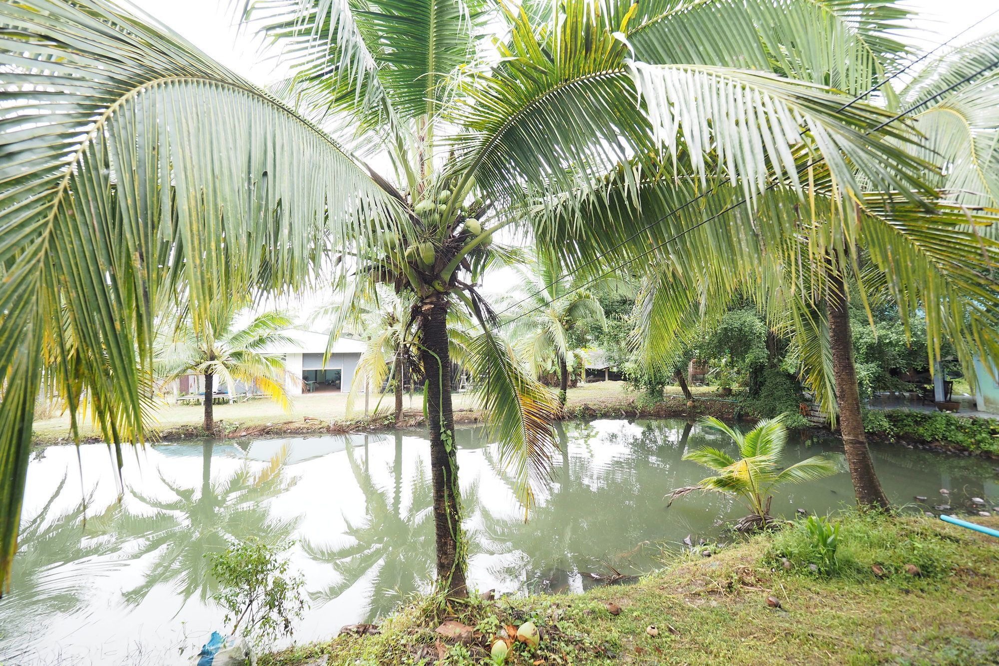 Oyo 75515 Sairung Farmstay Krabi town Esterno foto